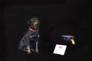 Beaufort Dog Training - Roxy